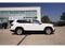 2019 Volkswagen Atlas 3.6L V6 SE