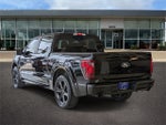 2025 Ford F-150 STX LOBO