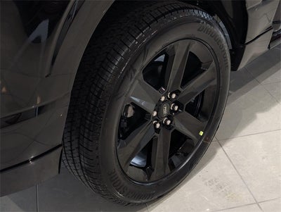 2025 Ford F-150 STX LOBO